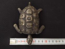 PİRİNÇ KAPLUMBAĞA KÜLLÜK