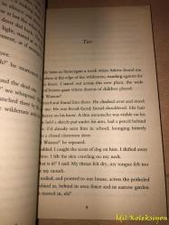 Kit's Wilderness - David Almond - Hodder Headline Books - İngilizce Kitap (Kit'in Vahşi Doğası)