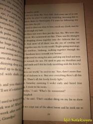 Kit's Wilderness - David Almond - Hodder Headline Books - İngilizce Kitap (Kit'in Vahşi Doğası)