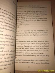 Kit's Wilderness - David Almond - Hodder Headline Books - İngilizce Kitap (Kit'in Vahşi Doğası)