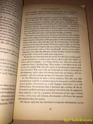 CLONE : The Road to Dolly and the path ahead -  Gina Kolata - Penguin Books - İngilizce Kitap (CLONE: Dolly'ye Giden Yol ve Önümüzdeki Yol)