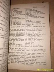 Niemiecko - Polski - Podrecznik Do Konwersacyi - James Connor - Julius Gross Verlag (Almanca - Lehçe - Konuşma Rehberi)