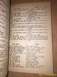 Niemiecko - Polski - Podrecznik Do Konwersacyi - James Connor - Julius Gross Verlag (Almanca - Lehçe - Konuşma Rehberi)