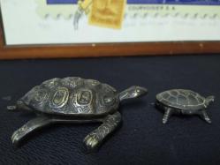 PİRİNÇ KAPLUMBAĞA KÜLLÜKLER