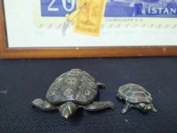 PİRİNÇ KAPLUMBAĞA KÜLLÜKLER