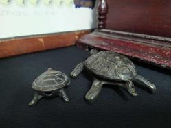 PİRİNÇ KAPLUMBAĞA KÜLLÜKLER