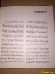 THE MAD MONK - Paintings of Unlimited Action - Jung-kwang - Miller Publishers - İngilizce Kitap (THE MAD MONK - Sınırsız Aksiyonun Tabloları)