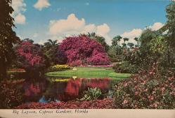 ŞEHİR KARTPOSTALI-ABD/FLORIDA CYPRES BAHÇESİNİN MUHTEŞEM GÖRÜNTÜSÜ,ARKASINA YAZILMAMIŞ, RENKLİ, 11 X 15 CM EBADINDA-1950'LER, 1960'LAR, 1970'LER, 1980'LER