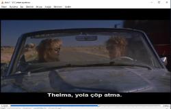 thelma ve louise dvd (PC'de denenmiştir)  (thelma and louise) susan sarandon geena davis