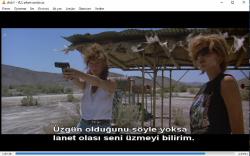thelma ve louise dvd (PC'de denenmiştir)  (thelma and louise) susan sarandon geena davis