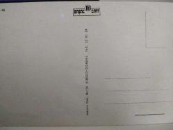 ÇİÇEK KARTPOSTALI-AŞKIN SEVGİNİN VE ROMANTİZMİN SİMGESİ GÜL,ARKASINA YAZILMAMIŞ,RENKLİ, 11 X 15 CM EBADINDA