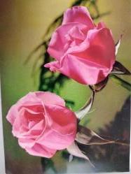 ÇİÇEK KARTPOSTALI-RENGARENK ÇİÇEKLERLE BEZENMİŞ KARTPOSTAL,KAPAKLI,ARKASINA YAZILMIŞ,RENKLİ, 11 X 15 CM EBADINDA