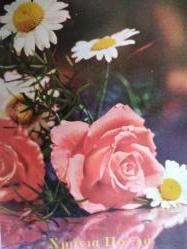 ÇİÇEK KARTPOSTALI-AŞKIN SEVGİNİN VE ROMANTİZMİN SİMGESİ GÜL,ARKASINA YAZILMIŞ,RENKLİ, 11 X 15 CM EBADINDA