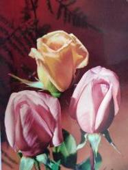 ÇİÇEK KARTPOSTALI-AŞKIN SEVGİNİN VE ROMANTİZMİN SİMGESİ GÜL,ARKASINA YAZILMIŞ,RENKLİ, 11 X 15 CM EBADINDA