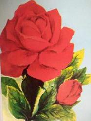 ÇİÇEK KARTPOSTALI-AŞKIN SEVGİNİN VE ROMANTİZMİN SİMGESİ GÜL,ARKASINA YAZILMIŞ,RENKLİ, 11 X 15 CM EBADINDA