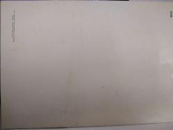 ÇİÇEK KARTPOSTALI-AŞKIN SEVGİNİN VE ROMANTİZMİN SİMGESİ GÜL,KAPAKLI,ARKASINA YAZILMIŞ,RENKLİ, 11 X 15 CM EBADINDA