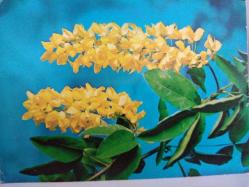 ÇİÇEK KARTPOSTALI-RENGARENK ÇİÇEKLERLE BEZENMİŞ KARTPOSTAL,ARKASINA YAZILMIŞ,RENKLİ, 11 X 15 CM EBADINDA