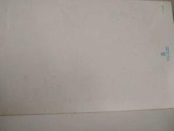 ÇİÇEK KARTPOSTALI-RENGARENK ÇİÇEKLERLE BEZENMİŞ KARTPOSTAL,KAPAKLI,ARKASINA YAZILMIŞ,RENKLİ, 11 X 19 CM EBADINDA