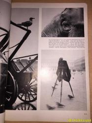 Photo Magazine : Marz 1956 - München - Almanca Dergi (Berichte - Zwei Farbphotos - Das Bühnenbild im Photo - Nur eine Kleinigkeit - Der kombinierte Reporter - Schwingen über Berg und Tal - Rechtsfragger der Photographie - Zwei Farbphotos aus Hellabrunn - Das Defizit der Sensation - Brüssels Diplomatenwelt staunte - Fritz Eschen photographiert Personen der Zeitgeschichte - Das Geheimnis der Schwarzen Blitze - Der Elektronenblitz bittet um Pflege) Hafif Yıpranma ve Kesilmiş Kısımlar Mevcut