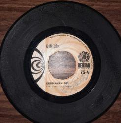 BİRİCİK DERMANSIN GEL / AŞK BENCE SEN DEMEKTİR 45 LİK PLAK