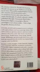 BEYOĞLU RAPSODİSİ (CEP BOY)