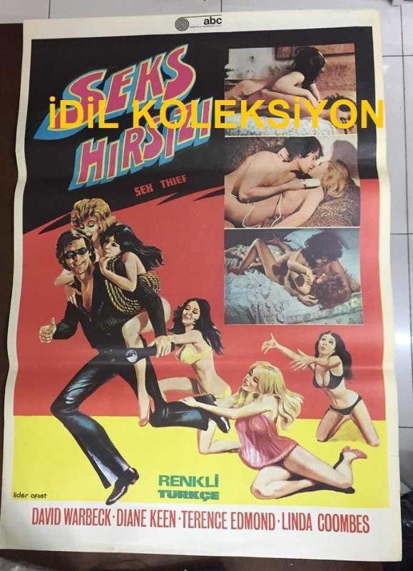 SEKS HIRSIZI 1973 FİLM AFİŞİ POSTERİ BÜYÜK BOY ORİJİNAL  