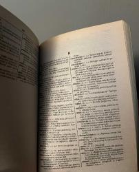 Altın Türkçe Sözlük