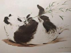 YAPRAK YİYEN PANDA RESMİ KARTPOSTALI,KAPAKLI,İÇ KISMINA YAZILMAMIŞ,RENKLİ, 11 X 15 CM EBADINDA