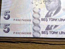 9. Emisyon 5 Lira Çil 2'li Özel Seri Numaralı Lot (resimdeki ürün gönderilecektir) (84)