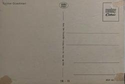 HAYVAN KARTPOSTALI-YEMYEŞİL ÇİMENLERDE OTLAYAN KOYUNLAR,ARKASINA YAZILMAMIŞ,RENKLİ, 11 X 15 CM EBADINDA