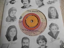 29 - AYNUR GÜRKAN - Yine bir hal oldu garip gönlüme - Perişan bir divaneyim