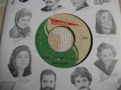 30 - SAMİ KASAP -  Gazel dökmüş bağında - Ey siyah gözlü kadın