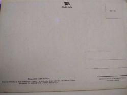 ARKEOLOG TENGEÇ 22 HAZİRAN-23 TEMMUZ KARTPOSTALI,ARKASINA YAZILMAMIŞ,RENKLİ, 12 X 17 CM EBADINDA