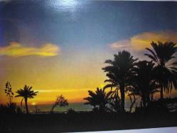GÜNBATIMINDA PALMİYE AĞAÇLARI VE DENİZ KARTPOSTALI,ARKASINA YAZILMAMIŞ,RENKLİ,11 X 15 CM EBADINDA