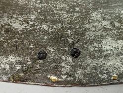 Antika Osmanlı Saz Tuğralı Bakır Yazılı Tabak - Lenger