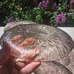 Fransız Arcoroc Pasta Tabağı Takımı