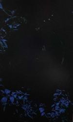 SİYAH ARKAPLAN ÜSTÜNE MAVİ BOYAYLA AĞAÇ RESMİ KARTPOSTALI,ARKASINA YAZILMAMIŞ,RENKLİ,11 X 15 CM EBADINDA