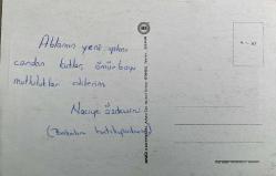 KARLI DAĞLAR NEHİR VE DOĞA İÇİNDE EV RESMİ KARTPOSTALI,ARKASINA YAZILMIŞ,RENKLİ,11 X 15 CM EBADINDA