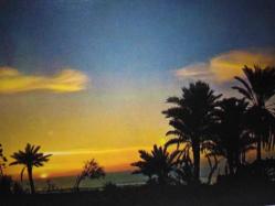 GÜNBATIMINDA DENİZ VE PALMİYE AĞAÇLARI GÖRÜNTÜSÜ KARTPOSTALI,ARKASINA YAZILMAMIŞ,RENKLİ,11 X 15 CM EBADINDA