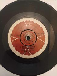 Neşe Aydın ‎- O Çok Çapkındır Çok Yaramaz / Bana Öyle Bakma 45'lik Plak