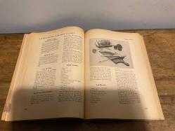 Favorite  Recipes from House & Garden