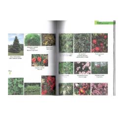 Doğa Koleji Florası - Toplam 300 Adet Ağaç Çalı ve Otsu Bitki Botanik Özellikleri Kullanım Olanakları Yayılış Alanları Özgün Resimler