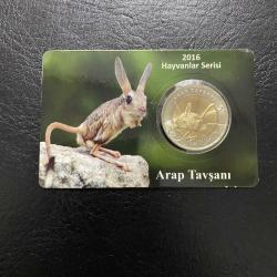 Arap Tavşanı 2016 Hayvanlar Serisi