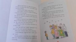 Galata'nın Tembel Martısı