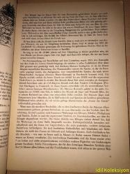 Zweitausend Jahre Mainz - Heinz Leitermann - Almanca Kitap (Mainz'ın iki bin yılı)