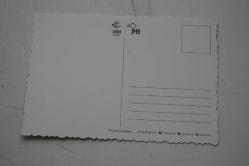 PTT MUTLU YILLAR KARTPOSTAL SIFIR (ANTİ KOLİ 6