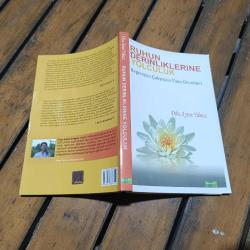 RUHUN DERİNLİKLERİNE YOLCULUK - Regresyon Çalışması Vaka Örnekleri.