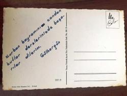 HEDİYE KARTPOSTALI, SANDIK İÇİNDE İKİ KÜÇÜK KEDİ VE PEMBE GÜLLER ÇİZİMİ, ARKASI YAZILI, RENKLİ, 9 X 14 CM EBADINDA