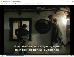 çingeneler zamanı vcd (PC'de denenmiştir/izlenmiştir) (time of the gypsies)  dom za vesanje (emir kusturica)