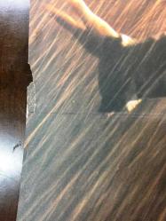 ESARETİN BEDELİ (The Shawshank Redemption), 1994, SİNEMA FİLM AFİŞİ / POSTERİ, - BÜYÜK BOY - ORİJİNAL - 100 X 68 cm EBADINDA - Original Turkish Big Size Movie Poster - Frank Darabont, Stephen King, Frank Darabont, Tim Robbins, Morgan Freeman, Bob Gunton, William Sadler, Clancy Brown, Gil Bellows, Mark Rolston, James Whitmore, Jeffrey DeMunn, Larry Brandenburg,  Neil Giuntoli, Brian Libby, David Proval, Joseph Ragno, Jude Ciccolella, Paul McCrane, ÖZEN FİLM